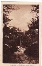 Leuvenum (Ermelo) Leuvenumsche bosch ca, 1930, Verzenden, 1920 tot 1940, Ongelopen, Gelderland