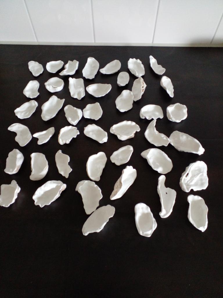 (Decoupage) 40 x mooie oesterschelpen wit gelakt, maat M ., Ophalen of Verzenden, Schelp(en)