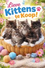 Schitterende Maine Coon kittens!, Meerdere dieren, Gechipt, 0 tot 2 jaar