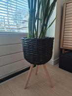 Zwarte bloempot op poten, Ophalen, Kunststof, Rond, Minder dan 40 cm