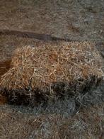 Stro, Ophalen of Verzenden, Vee