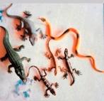 Siliconen Speelgoed Dieren - Onbeschadigd, Ophalen of Verzenden, Nieuw, Jongen of Meisje