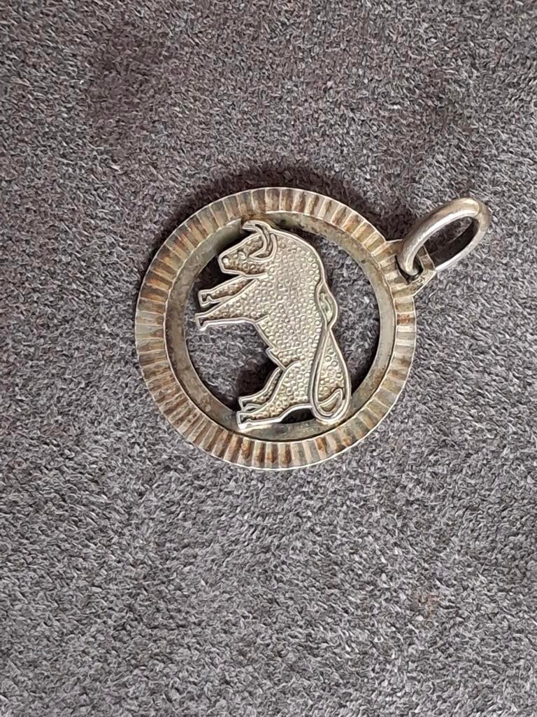 Zilveren hanger.  Sterrenbeeld met stier voorstelling, Gebruikt, Ophalen of Verzenden, Zilver, Dier