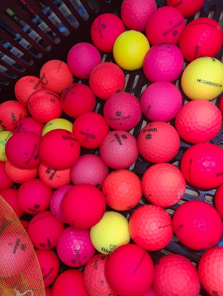 Matte wilson staff duo soft golfballen 50 stuks, Ophalen of Verzenden, Bal(len)