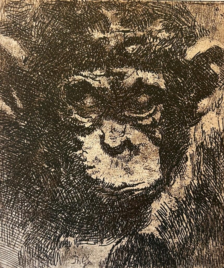 Theo Goedvriend - Aapjes kijken (zes etsen), Antiek en Kunst, Ophalen of Verzenden