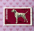 Roemenie gestempeld 199 => Honden - Dalmatier