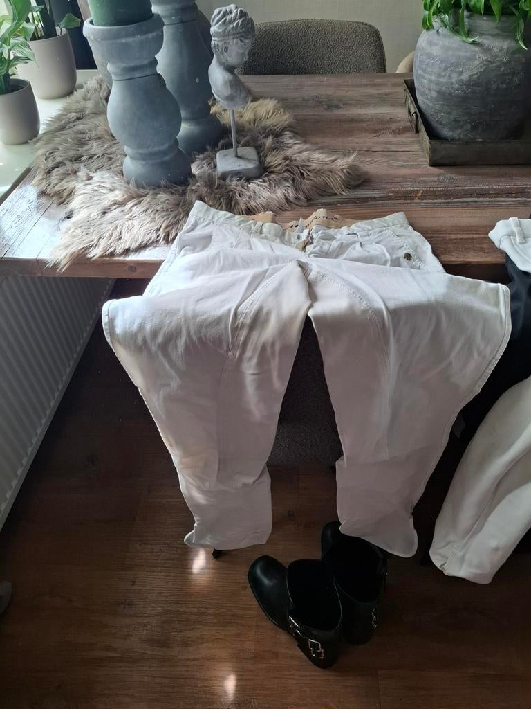 Paard rij broeken, Dieren en Toebehoren, Paardrijkleding, Ophalen