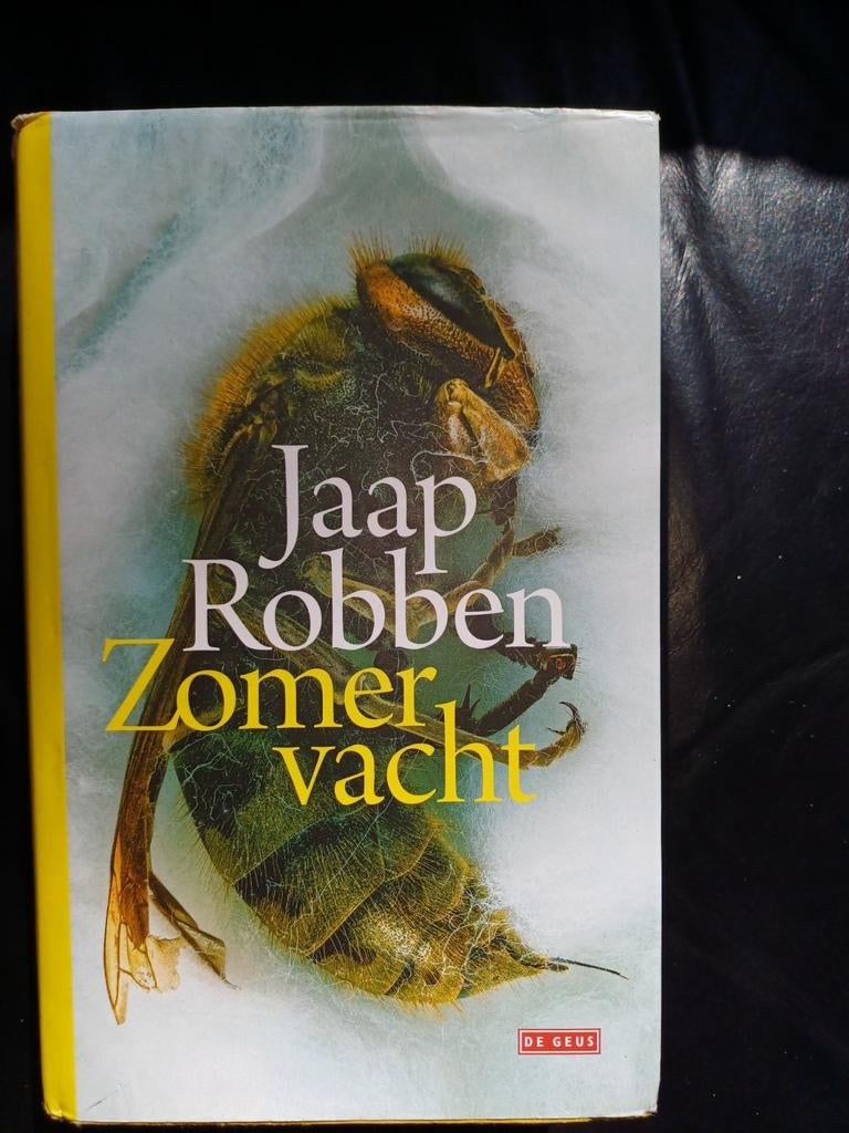 Jaap Robben - Zomervacht, Ophalen of Verzenden
