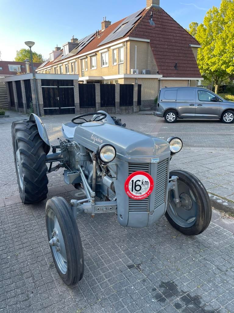 Ferguson TED, Ophalen, Oldtimer, Tot 80 Pk, Massey Ferguson