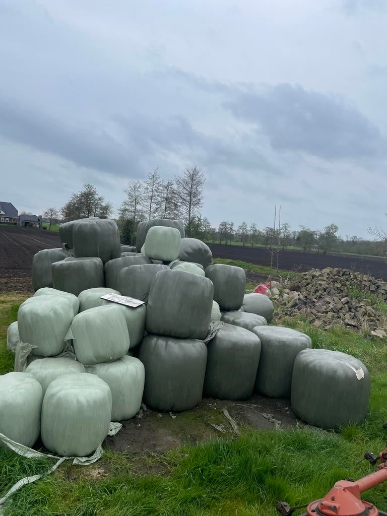 Kuil, Dieren en Toebehoren, Ophalen of Verzenden, Vee