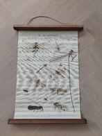 Wandkaart libelle #2 BLOSSOM BROCANTE, Ophalen of Verzenden