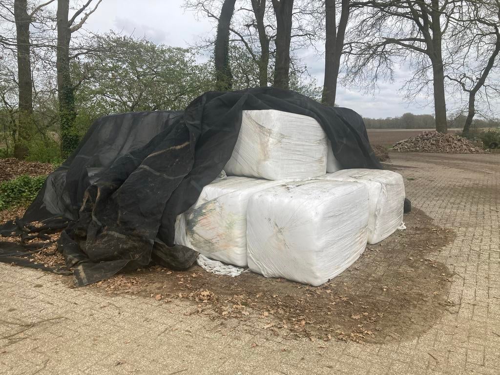 21 Pakken voordroog hooi voor paarden, zomersnede, Ophalen, Nieuw, Overige soorten