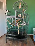 Vogelkooi papegaai, Ophalen, Gebruikt, Metaal, Vogelkooi