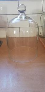 Glazen stolp, Ophalen of Verzenden, Zo goed als nieuw