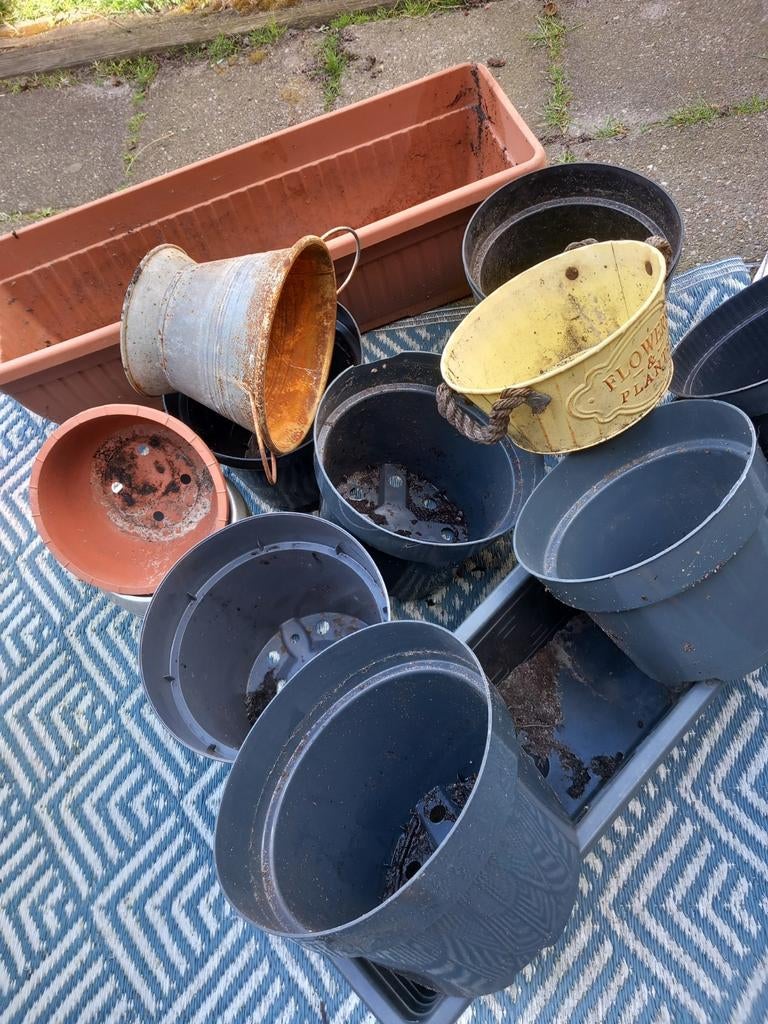 Kweekpotjes 🌿🦜☀️tezamen, Tuin en Terras, Ophalen, Minder dan 40 cm