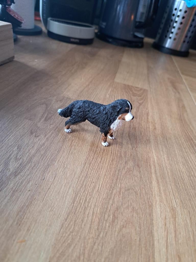 Schleich Berner Sennenhond - Speelfiguur (16397), Ophalen of Verzenden, Gebruikt, Jongen of Meisje