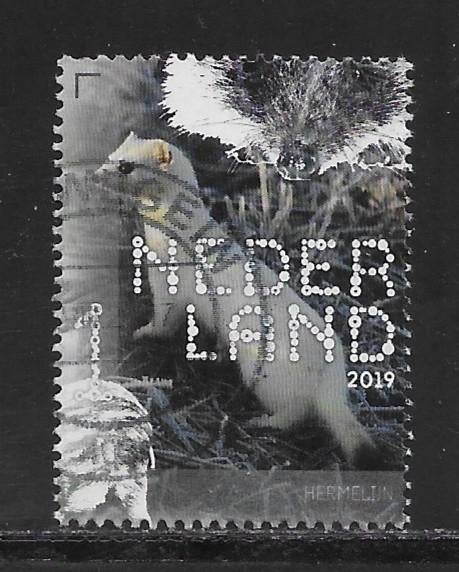 2019, Zoogdieren, Hermelijn [3715] (K2429), Ophalen of Verzenden