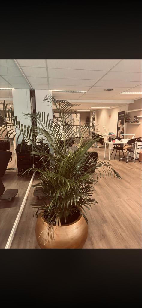 Ruimte te huur in schoonheidssalon, Zakelijke goederen, Bedrijfs Onroerend goed, Bedrijfsruimte, Overige typen