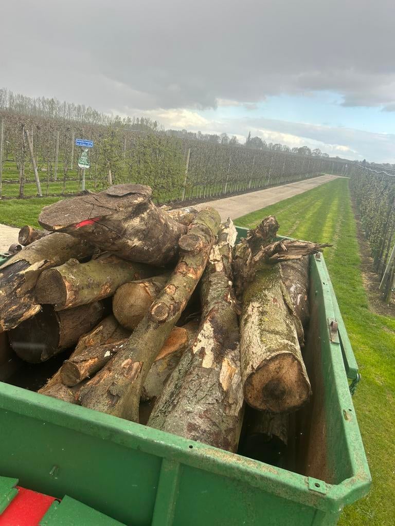 Stammen haardhout, Ophalen, Stammen