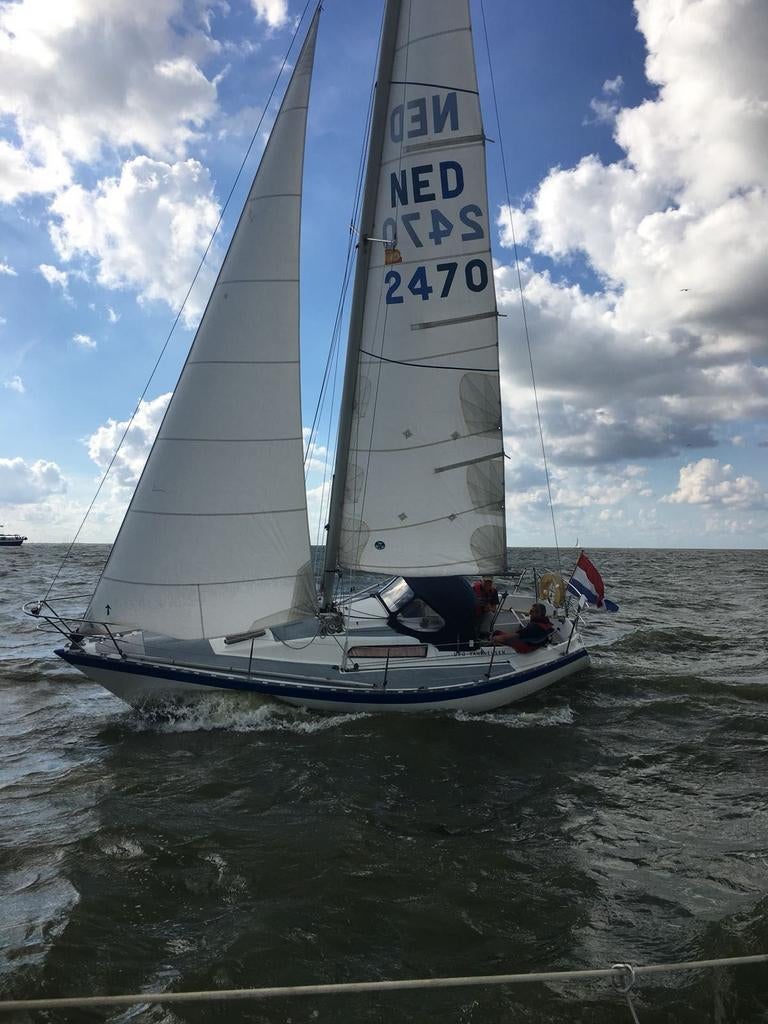 Zeewaardig zeiljacht 8,2 m – “Ufo van Neuzen”, Watersport en Boten, Zeilen en Zeiltoebehoren, Gebruikt, Grootzeil, 15 tot 30 m²