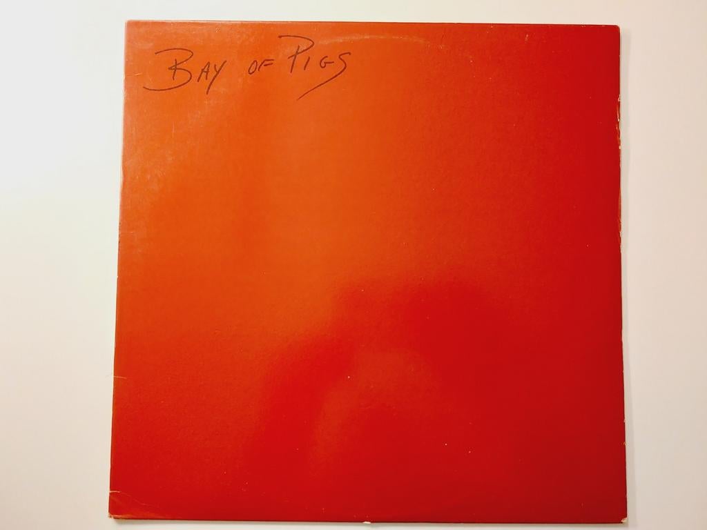 Bay of pigs - Not Kansas (USA/1985/alternative), Cd's en Dvd's, Vinyl | Rock, Ophalen of Verzenden, Zo goed als nieuw, 12 inch