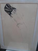 Naakte vrouwen van Patrick O'Regan. 2 de soort, Nude Study,, Ophalen