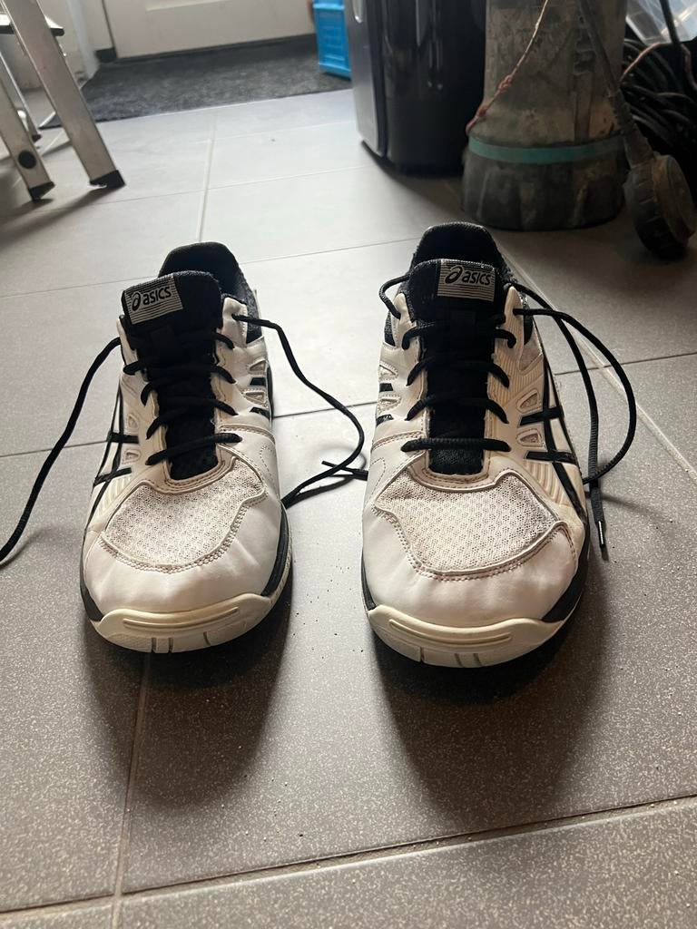Asics Zaalschoenen Maat 44,5, Sport en Fitness, Korfbal, Ophalen of Verzenden, Gebruikt, Schoenen