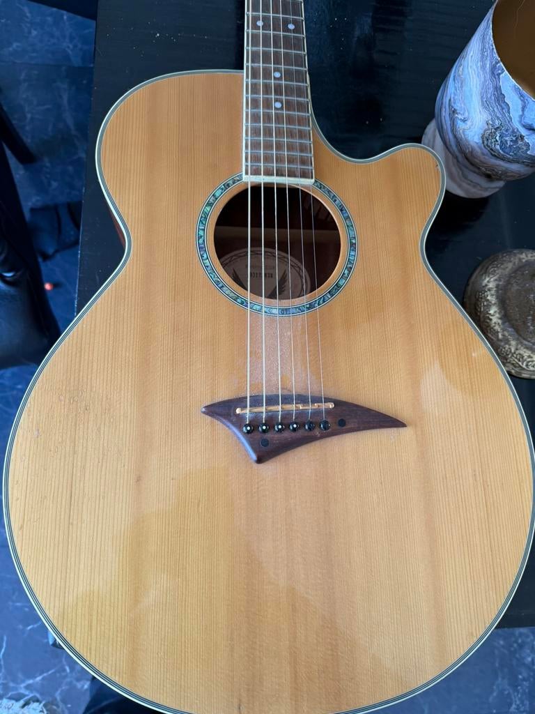Dean akoestische gitaar met element, Muziek en Instrumenten, Snaarinstrumenten | Gitaren | Akoestisch, Ophalen, Gebruikt, Western- of Steelstringgitaar