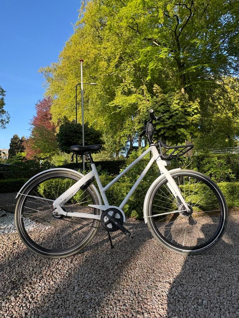 Cortina Blau D51 met Belt Drive 7 naaf versnellingen Shimano, Versnellingen, Zo goed als nieuw, 50 tot 53 cm, Schijfrem