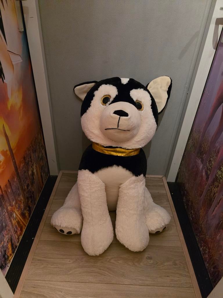 Grote huskyhond, Ophalen, Zo goed als nieuw, Overige typen