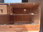 Broedkooi, Dieren en Toebehoren, Vogels | Hokken en Kooien, Ophalen, Gebruikt, Hout, Broedkooi of Kweekkooi