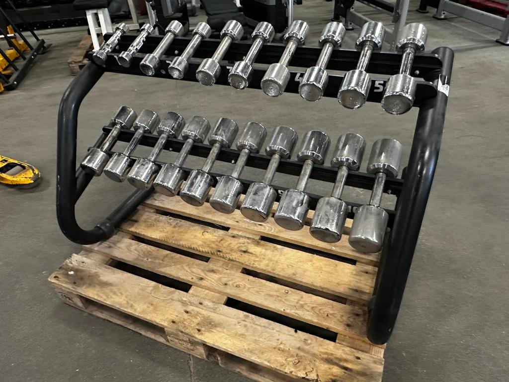 Technogym Chrome Dumbells en Technogym Opbergrek, Sport en Fitness, Fitnessmaterialen, Ophalen, Gebruikt, Dumbbell