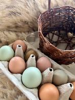 Biologische sojavrije eieren, Dieren en Toebehoren, Ophalen of Verzenden, Zo goed als nieuw, Overige typen
