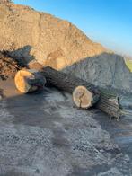 Openhaardhout, Tuin en Terras, Haardhout, Ophalen of Verzenden