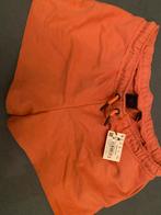 Superdry Broekje Maat 44, Ophalen, Kort, Maat 42/44 (L), Oranje