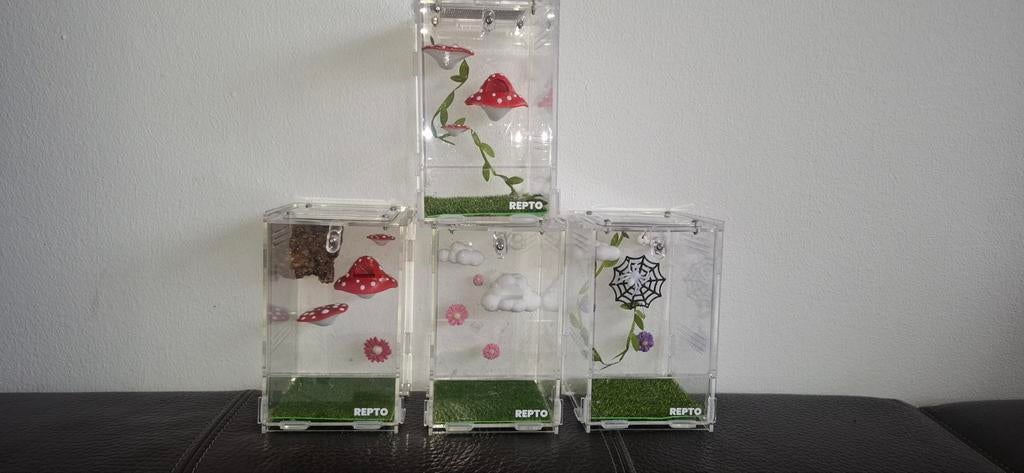 Springspin terrarium, Dieren en Toebehoren, Spin of Schorpioen