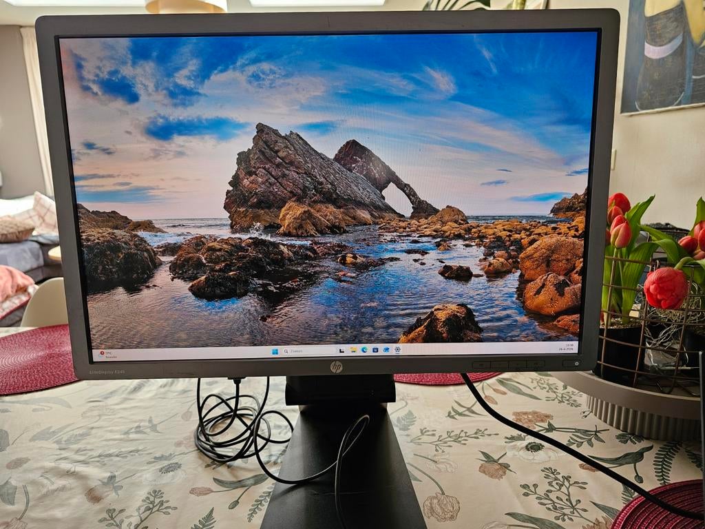 HP EliteDisplay E241i Monitor - Full HD IPS Scherm, Ophalen, DVI, IPS, Full HD