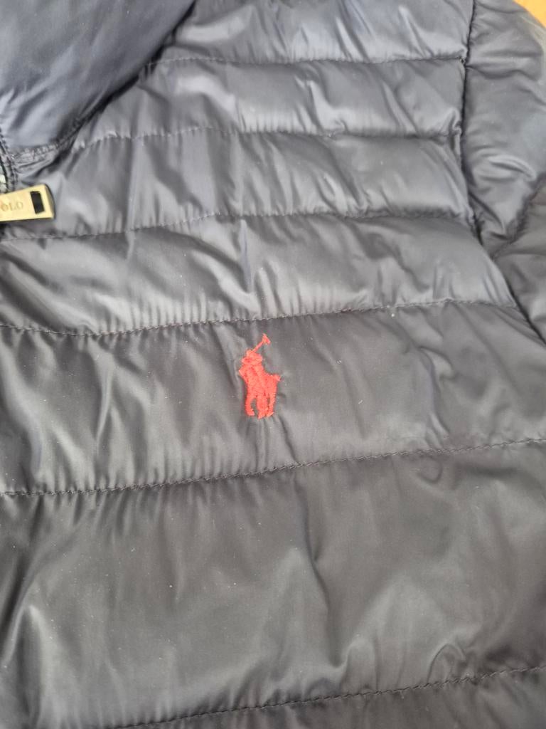 Polo Ralph Lauren jas maat 176, Ophalen of Verzenden, Gebruikt, Jongen of Meisje