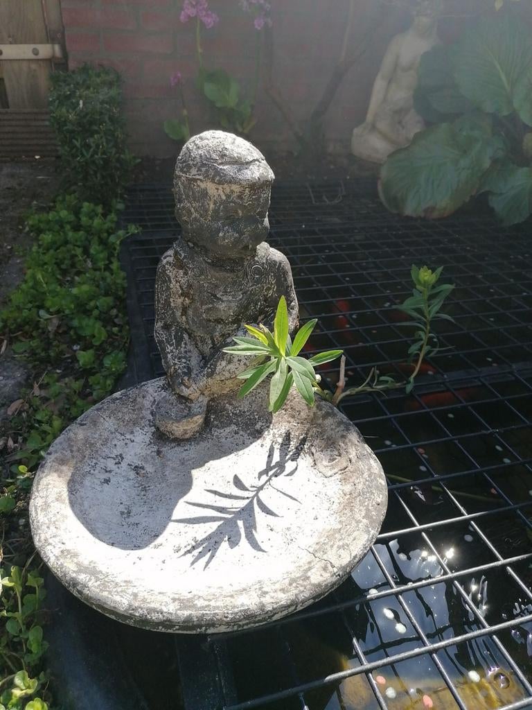 Betonnen tuinbeeldje: vogelbadschaal, Ophalen of Verzenden, Gebruikt, Beton, Mensenbeeld