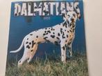 Dalmatiers kalender 2005, Ophalen of Verzenden, Maandkalender, Gebruikt