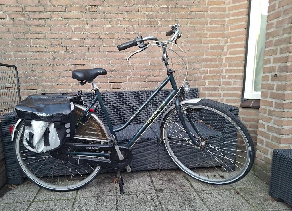Giant allrounder dames fiets 7 versnellingen, Ophalen, Versnellingen, Giant, 53 tot 56 cm