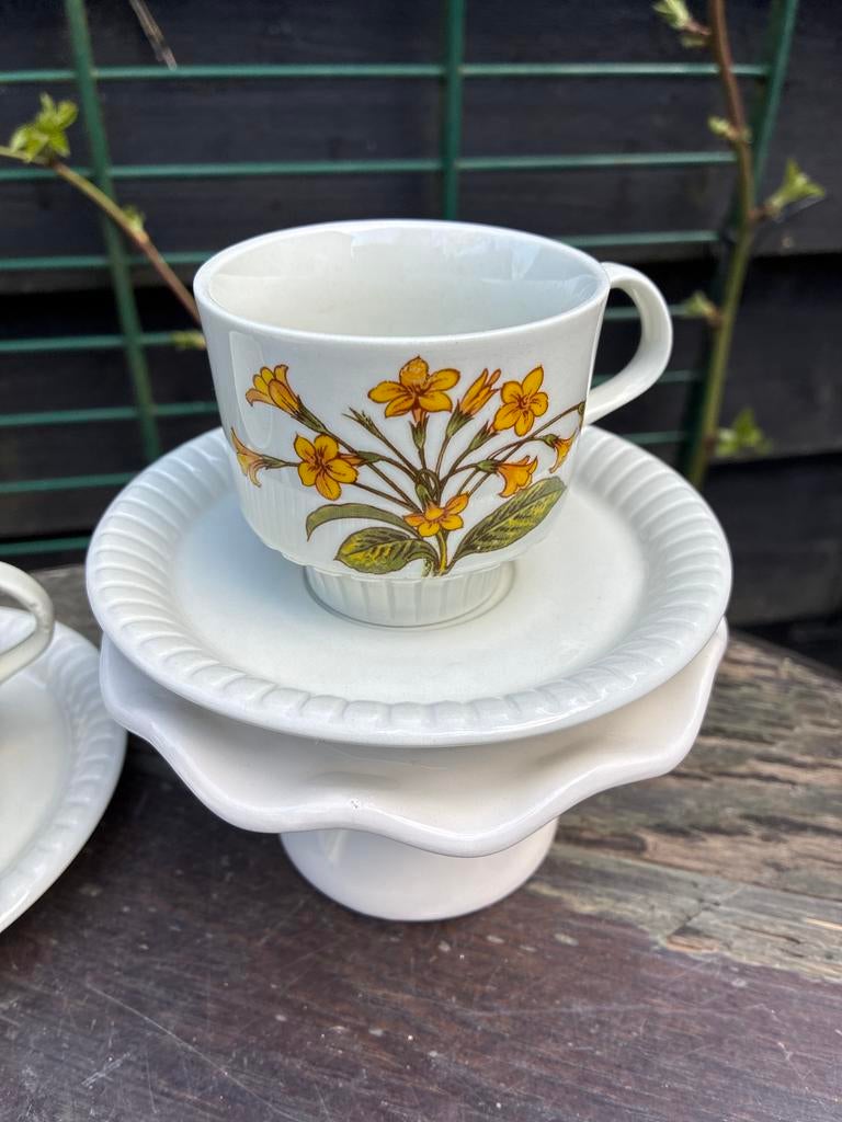 Arcopal style kop en schotels, Ophalen of Verzenden