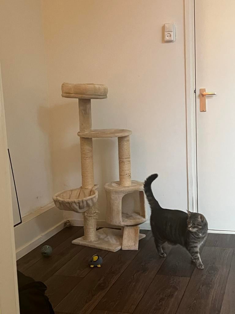 Krabpaal gratis afhalen, Dieren en Toebehoren, Katten-accessoires, Ophalen, Gebruikt