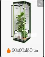 Kweektent 60x60cm met ventilatie en kijkvenster - Nieuw, Ophalen of Verzenden, Nieuw, Kweektent