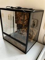 Terrarium 40 cm breed 30 cm diep 41 cm hoog, Ophalen