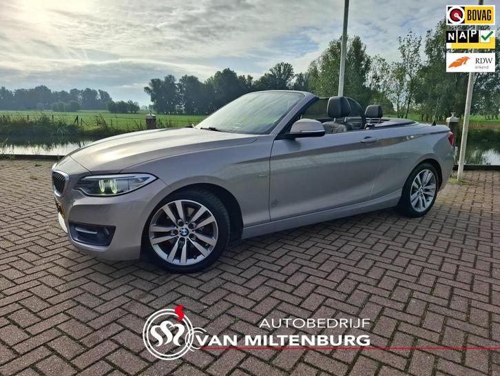 BMW 2-serie Cabrio 220i High Executive Leer Stoelverw. Clima, Auto's, BMW, Bedrijf, Te koop, 2-Serie, ABS, Airbags, Airconditioning