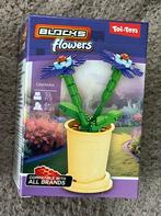Toi-Toys BLOCKS Cineraria Bouwpakket, Ophalen of Verzenden, Nieuw, Complete set