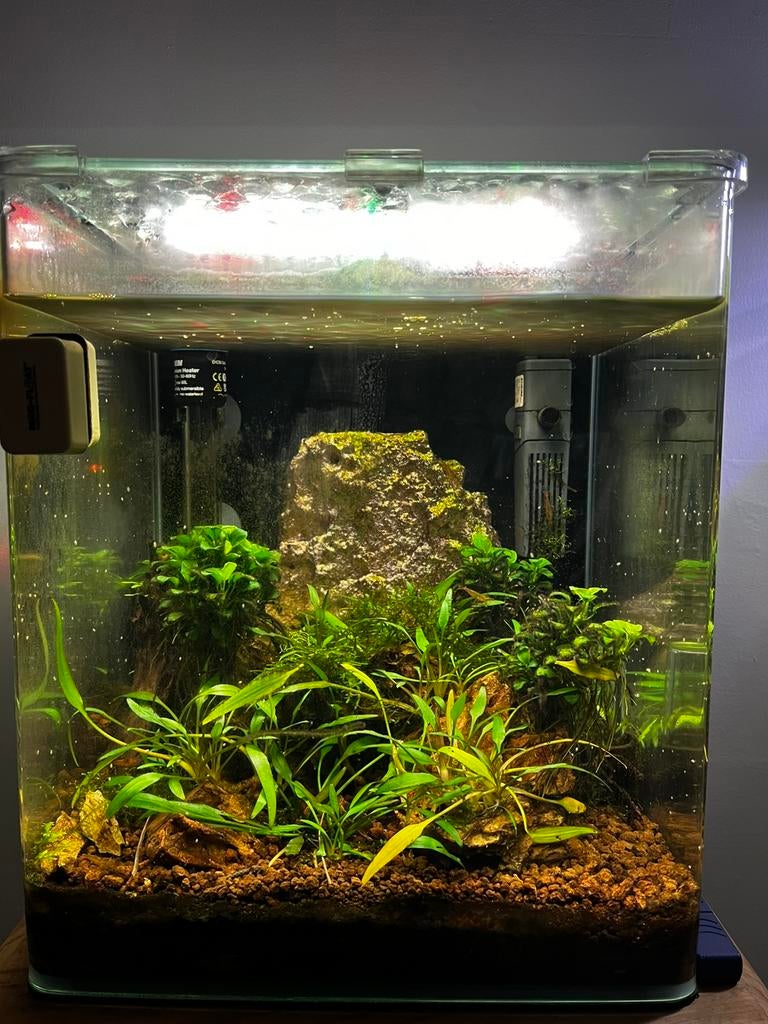 Nano aqarium te koop met garnalen, Dieren en Toebehoren, Vissen | Aquaria en Toebehoren, Ophalen, Zo goed als nieuw, Gevuld zoetwateraquarium