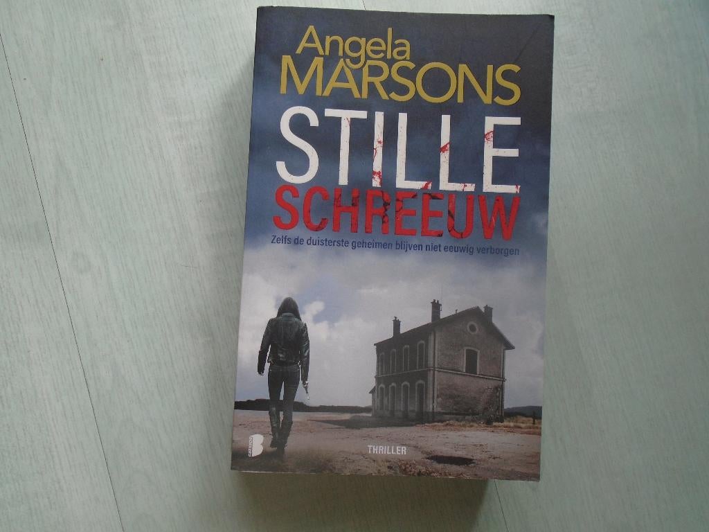 stille schreeuw, angela marsons, Boeken, Ophalen of Verzenden, Zo goed als nieuw, Angela marsons