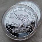 Somali Olifant 2016 1 oz Zilver, Ophalen of Verzenden